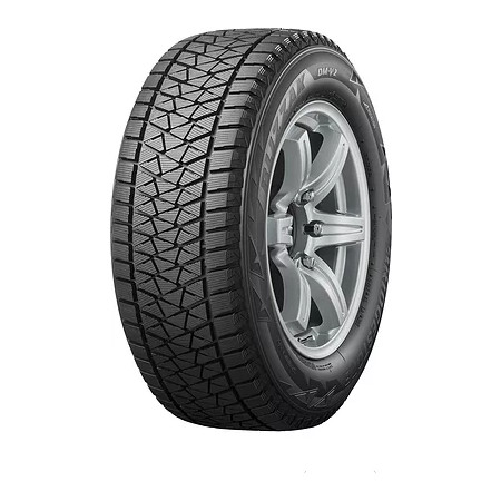 Bridgestone Blizzak DM V2