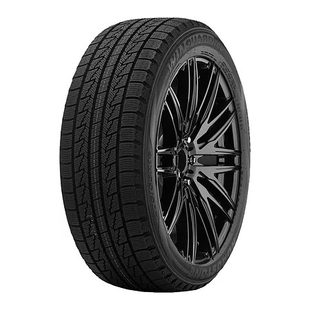 Roadstone Winguard Ice